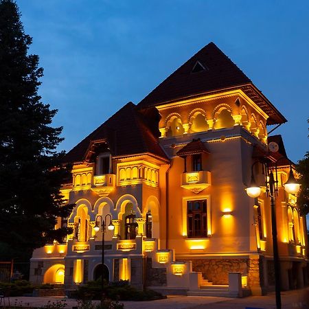 Boutique Hotel Danielescu Târgu Jiu Extérieur photo