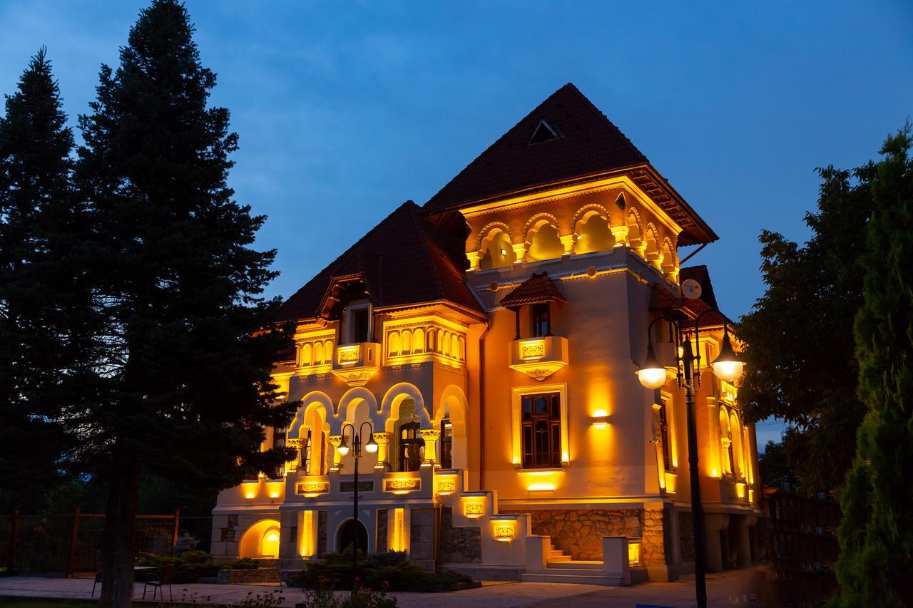 Boutique Hotel Danielescu Târgu Jiu Extérieur photo
