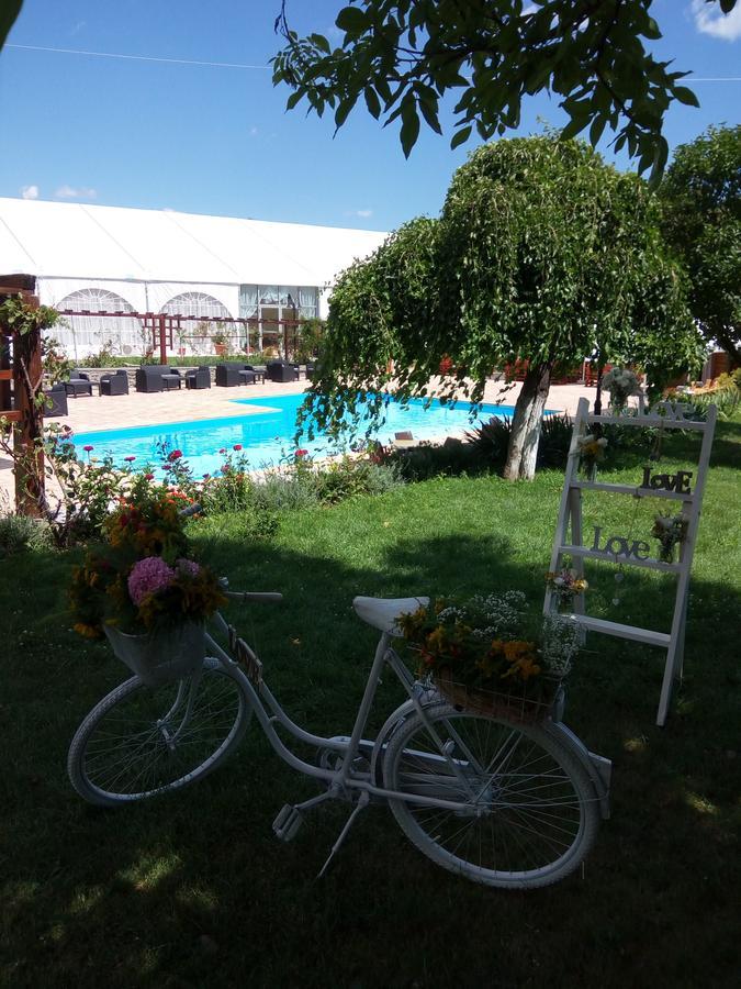 Boutique Hotel Danielescu Târgu Jiu Extérieur photo