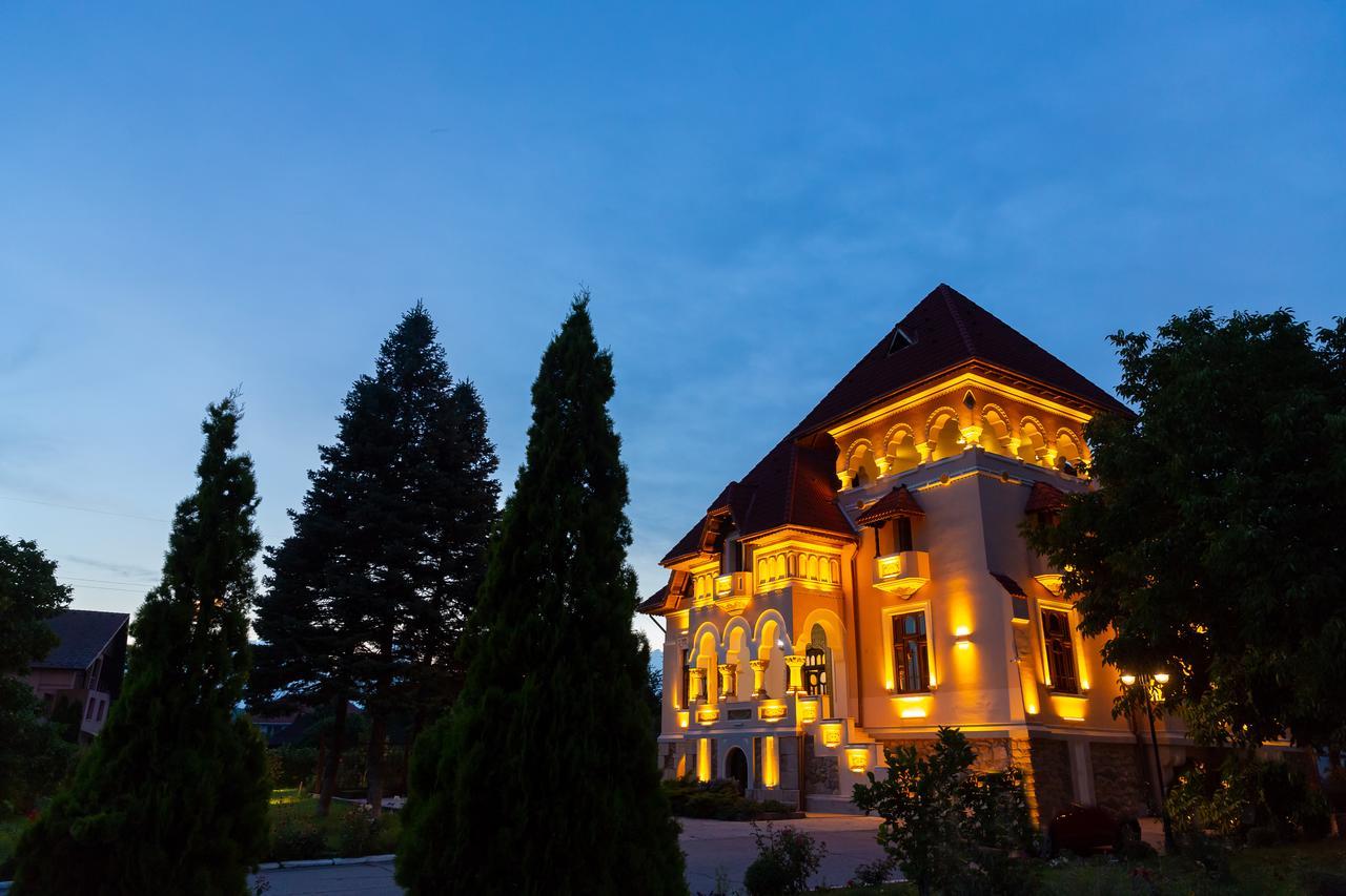 Boutique Hotel Danielescu Târgu Jiu Extérieur photo