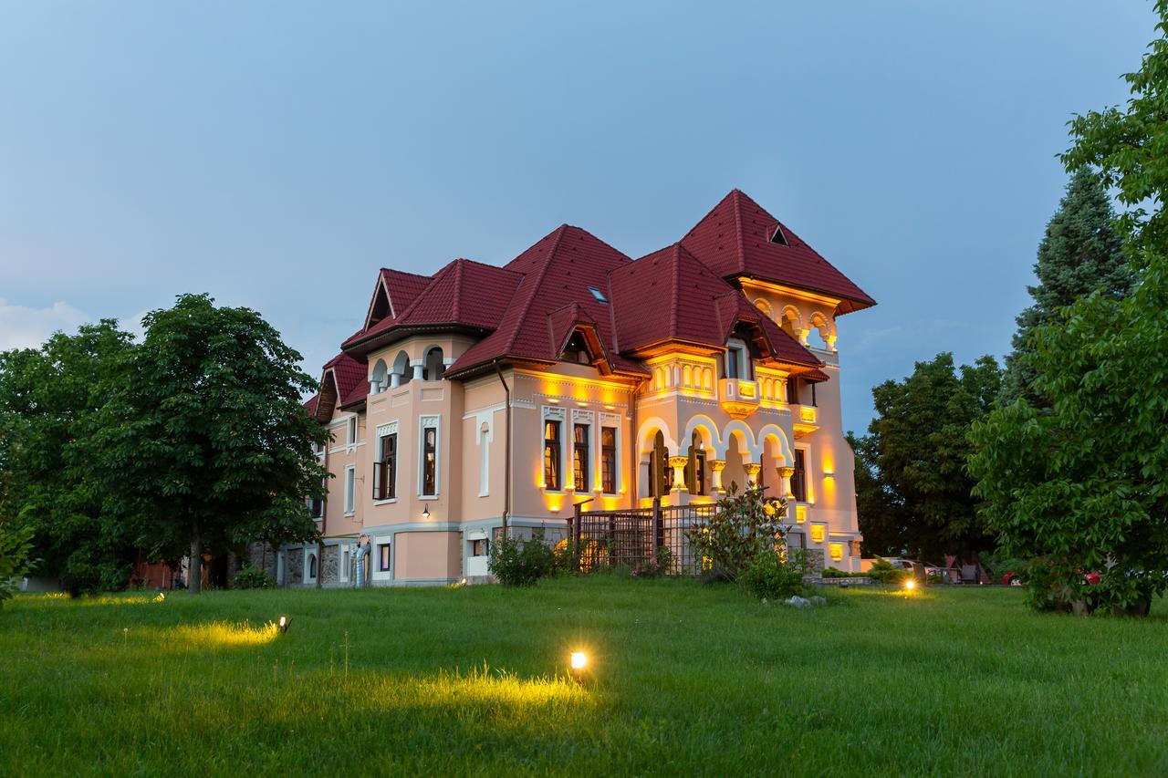 Boutique Hotel Danielescu Târgu Jiu Extérieur photo